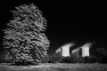 atomic garden