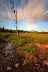 podvečer na pasienkoch