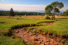 na liptáckych pasienkoch