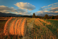 na liptáckych strniskách