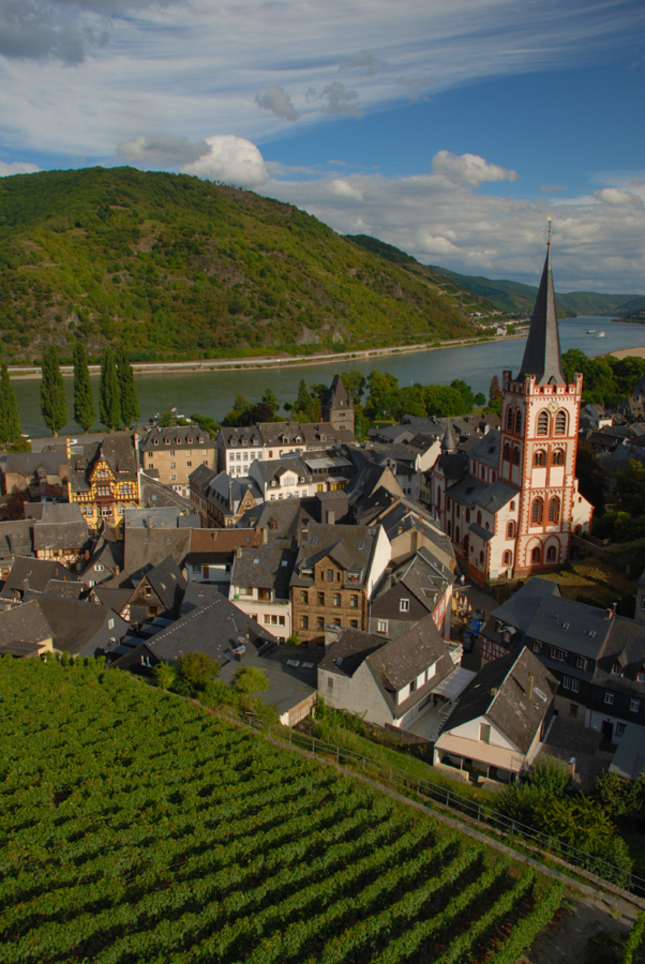 ...home of riesling...