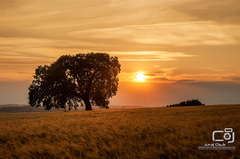 Nitrianske západy IV.