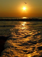 Sunrise