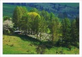 Konečná