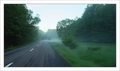 Misty road