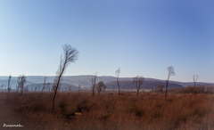 krajinou (ne)krajinou