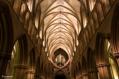 Wells Cathedral VI