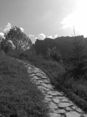 Cestička