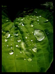 Water=Life