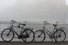 Spomienky na Leiden III
