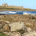 Dunstanburgh Castle