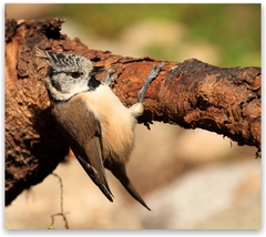 Fuuu ,to bola tesnotka