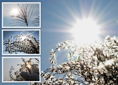 vo všetkých ročných obdobiach