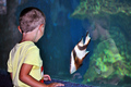 aquarium