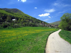 cesta domov