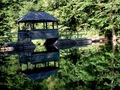 Reflexie