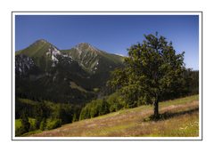 Ždiarske pohľady I