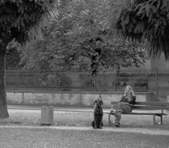 tak tomuto hovoríš prechádzka?