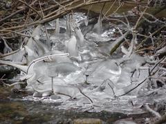 ice kingdom