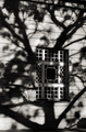 Teatr Wielki