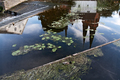 Uppsala