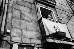 Donostia Arraun Lagunak