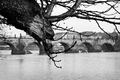 Karlov most
