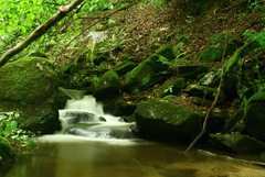 Dobročianka