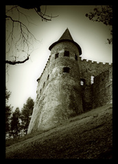 Stara Lubovna Castle