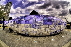 Ryba minulosti ....hdr