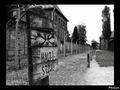 Auschwitz III
