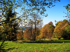 Jeseň