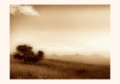 GoodGold Morning HighTatras
