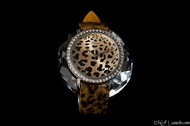 Leopard swatch