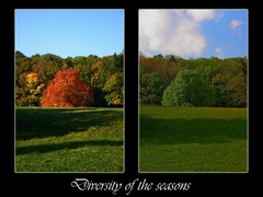 Diversity of seasons