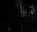 The ghost in BA