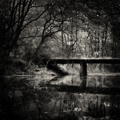 Bridge On The Bridge
