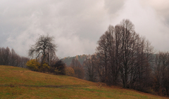 Pochmúrny novembrový deň.