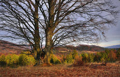 Strážca tajomstiev.