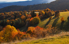 Tisíce farieb jesene II.