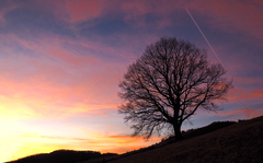 Na sklonku zimného dňa.