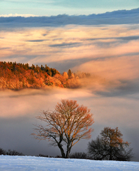 Decembrový podvečer.