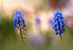 Blue.