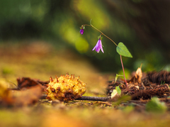 Dialóg pocestných.