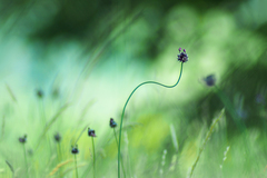 Pozor! - dvojitá zákruta