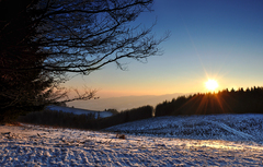 Posledné lúče na cestu.