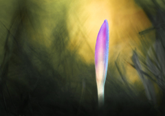 Na rozhraní tmy a svetla.