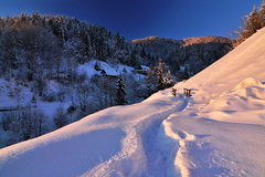 Stopy do minulosti II.