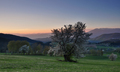 Podvečer za dedinou III.
