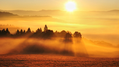 Jesenné svetlo života.